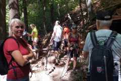 IMG-20260808-WA0024
