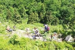 IMG-20260621-WA0008